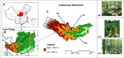 Vegetation Restoration Alleviated the Soil Surface Organic Carbon Redistribution in the Hillslope Scale on the Loess Plateau, China